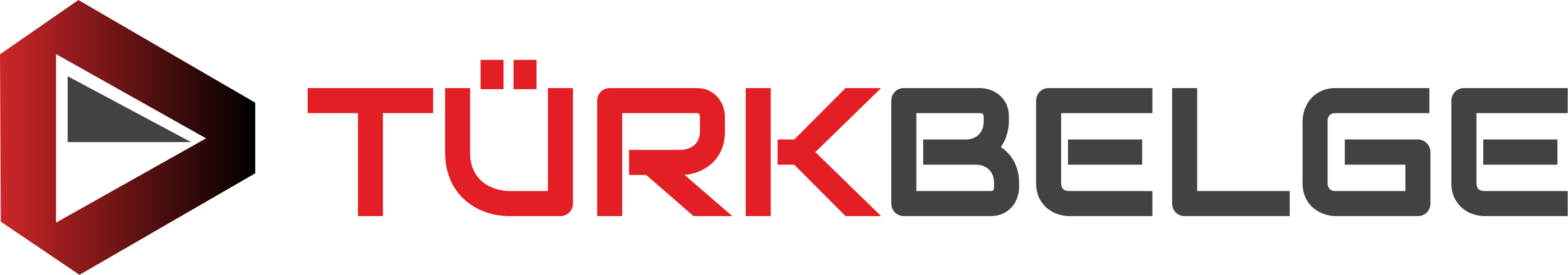 Türk Belge logosu